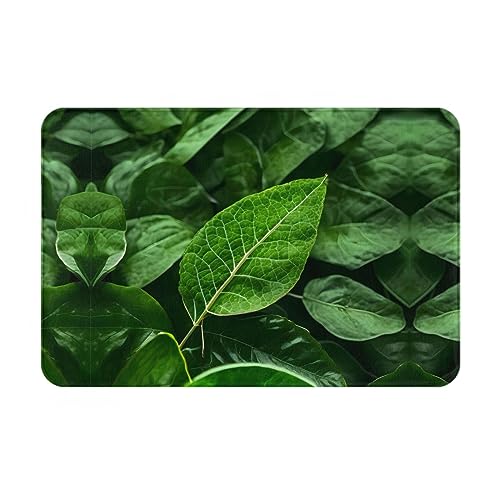 LiuMng Green Leaf Nature Winter-Fußmatte, 40,6 x 61 cm, wasserabsorbierende, rutschfeste Fußmatten für Vorder- und Hintertür/Willkommensmatte LiuMng Green Leaf Nature Winter-Fußmatte, 40,6 x 61 cm, wasserabsorbierende, rutschfeste Fußmatten für Vorder- und Hintertür/Willkommensmatte von LiuMng