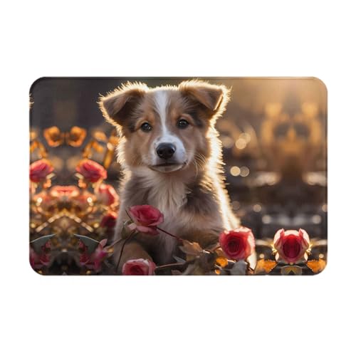 LiuMng Hunde- und Rosen-Fußmatte, wasserabsorbierend, rutschfest, für Vorder- und Hintertür, Schuhkratzer, 40,6 x 61 cm LiuMng Hunde- und Rosen-Fußmatte, wasserabsorbierend, rutschfest, für Vorder- und Hintertür, Schuhkratzer, 40,6 x 61 cm von LiuMng
