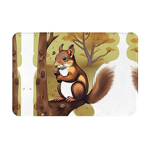 LiuMng Nut-Eating Eichhörnchen Ganzjahres-Fußmatte, wasserabsorbierend, rutschfest, Fußmatten für Vorder- und Hintertür, Schuhkratzer, 40,6 x 61 cm von LiuMng