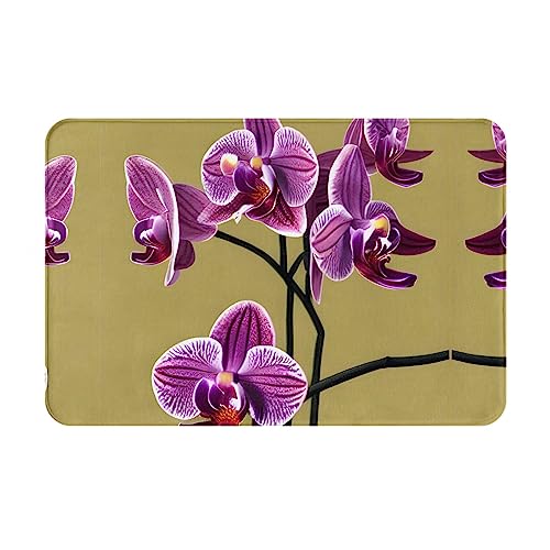 LiuMng Schöne Orchideen-Winter-Fußmatte, 40,6 x 61 cm, wasserabsorbierend, rutschfest, Fußmatten für Vorder- und Hintertür/Willkommensmatte LiuMng Schöne Orchideen-Winter-Fußmatte, 40,6 x 61 cm, wasserabsorbierend, rutschfest, Fußmatten für Vorder- und Hintertür/Willkommensmatte von LiuMng