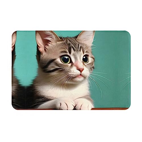 LiuMng Winter-Fußmatte, Motiv: Eine neugierige Katze, 40,6 x 61 cm, wasserabsorbierend, rutschfest, Fußmatten für Vorder- und Hintertür/Willkommensmatte LiuMng Winter-Fußmatte, Motiv: Eine neugierige Katze, 40,6 x 61 cm, wasserabsorbierend, rutschfest, Fußmatten für Vorder- und Hintertür/Willkommensmatte von LiuMng