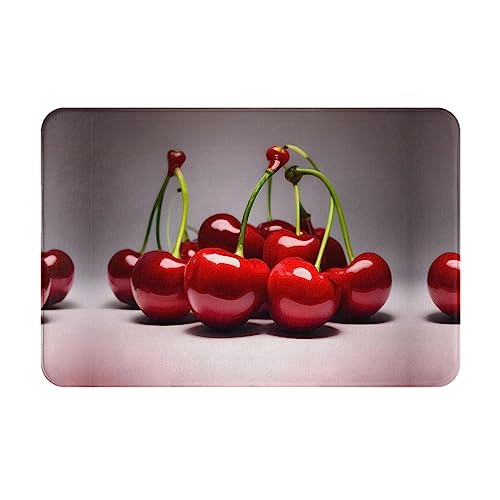LiuMng Winter-Fußmatte, Motiv: chilenische Kirschen, 40,6 x 61 cm, wasserabsorbierend, rutschfest, Fußmatten für Vorder- und Hintertür/Willkommensmatte LiuMng Winter-Fußmatte, Motiv: chilenische Kirschen, 40,6 x 61 cm, wasserabsorbierend, rutschfest, Fußmatten für Vorder- und Hintertür/Willkommensmatte von LiuMng