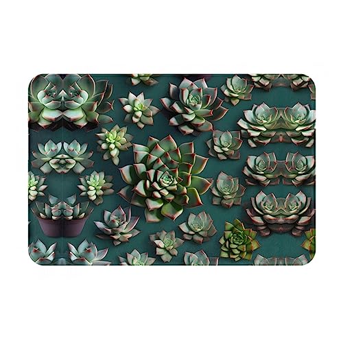 LiuMng Winter-Fußmatte, Motiv: viele Sukkulenten, 40,6 x 61 cm, wasserabsorbierend, rutschfest, Fußmatten für Vorder- und Hintertür/Willkommensmatte LiuMng Winter-Fußmatte, Motiv: viele Sukkulenten, 40,6 x 61 cm, wasserabsorbierend, rutschfest, Fußmatten für Vorder- und Hintertür/Willkommensmatte von LiuMng