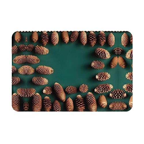 LiuMng Winter-Fußmatte mit Tannenzapfen-Bordüre, 40,6 x 61 cm, wasserabsorbierende, rutschfeste Fußmatten für Vorder- und Hintertür/Willkommensmatte LiuMng Winter-Fußmatte mit Tannenzapfen-Bordüre, 40,6 x 61 cm, wasserabsorbierende, rutschfeste Fußmatten für Vorder- und Hintertür/Willkommensmatte von LiuMng