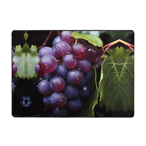 Teppich, Motiv: frische Trauben, 203,2 x 147,3 cm, große Fläche, Flanellstoff, Fußmatte für Schlafzimmer, Büro, Badezimmer Teppich, Motiv: frische Trauben, 203,2 x 147,3 cm, große Fläche, Flanellstoff, Fußmatte für Schlafzimmer, Büro, Badezimmer von LiuMng