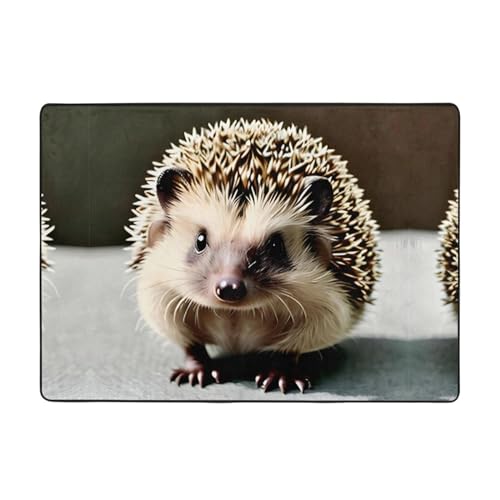 Teppich, niedlicher Igel-Druck, 203,2 x 147,3 cm, große Fläche, Flanellstoff, Fußmatte für Schlafzimmer, Büro, Badezimmer Teppich, niedlicher Igel-Druck, 203,2 x 147,3 cm, große Fläche, Flanellstoff, Fußmatte für Schlafzimmer, Büro, Badezimmer von LiuMng