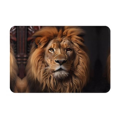 The Lion's Gaze Ganzjahres-Fußmatte, wasserabsorbierend, rutschfest, Fußmatten für Vorder- und Hintertür, Schuhkratzer, 40,6 x 61 cm von LiuMng
