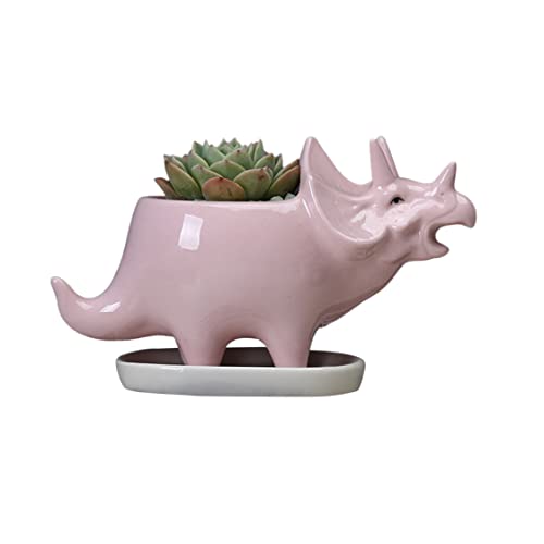 Blumenpflanzer, Indoor-Töpfe für Pflanzen,saftige Töpfe Dinosaurier Pflanzerhalter mit Tray niedlichen Keramik Triceratops Tiere Kaktus-sukkulente Pflanzentöpfe Dinosaurier Pflanzerhalter mit Tablett von Liummrcy