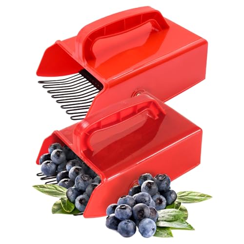 Liummrcy Berry Picker 2 Stück Ergonomic Blueberry Picker Food Grade Berry Picker mit Metallkamm großer Kapazität Obstpicker Werkzeug für Obstgarten Liummrcy Berry Picker 2 Stück Ergonomic Blueberry Picker Food Grade Berry Picker mit Metallkamm großer Kapazität Obstpicker Werkzeug für Obstgarten von Liummrcy