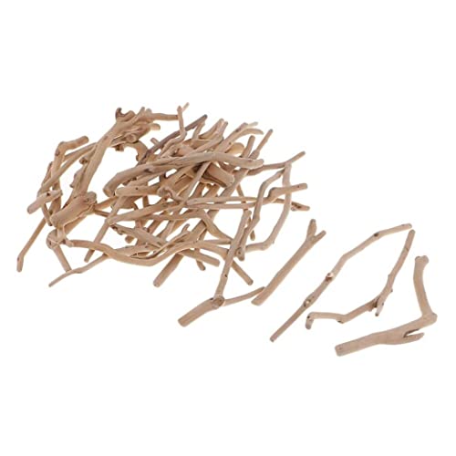 Liummrcy Verschiedene natürliche Treibholzstücke Holzhandwerk kleine Stöcke für Northumbrian Coastline Ausstellungskunst und Handwerk DIY Dekorieren Driftwood für Kunsthandwerk, Bastelzweige, von Liummrcy