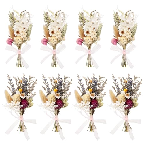 Livdouyu 8 Stück Trockenblumenstrauß Klein, Mini Blumenstrauß Getrocknet, Mini Trockenblumen, Getrocknete Blumen Trockenblumen Klein für Geschenk DIY Hochzeitsdekoration Geburtstag Party-Dekorationen Livdouyu 8 Stück Trockenblumenstrauß Klein, Mini Blumenstrauß Getrocknet, Mini Trockenblumen, Getrocknete Blumen Trockenblumen Klein für Geschenk DIY Hochzeitsdekoration Geburtstag Party-Dekorationen von Livdouyu