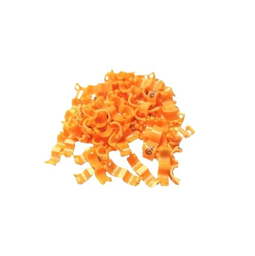 100 Stück Innendurchmesser 2,7/3/4/4,5/5 Mm Vogeltaube, Papageienbeinringe, Kleine Vögel, Fußringe, Vogelclipring,Orange 100 Stück Innendurchmesser 2,7/3/4/4,5/5 Mm Vogeltaube, Papageienbeinringe, Kleine Vögel, Fußringe, Vogelclipring,Orange von LiveTslonger