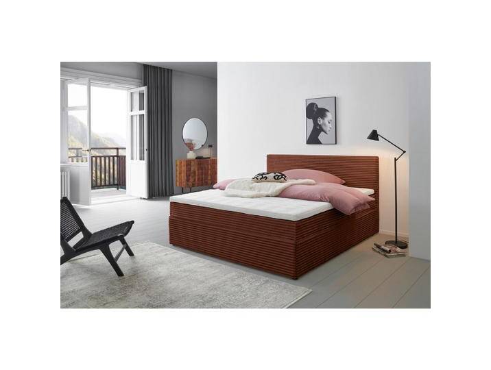 Livetastic BOXBETT, Rost, Tanne,Tanne, massiv, H3, Höhe ca. 17 cm, 160x200 cm, gepolstertes Kopfteil, Topper durchgehend, in verschiedenen Größen von Livetastic