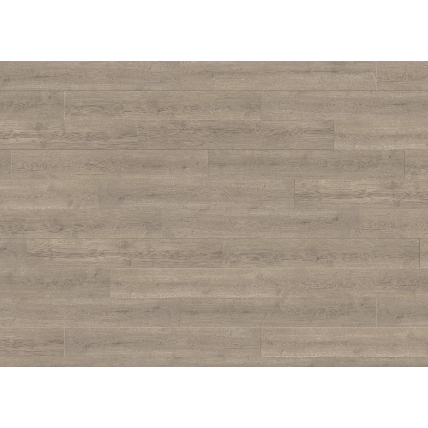 Living by Haro Laminat 7 mm Eiche Langley Grau Living by Haro Laminat 7 mm Eiche Langley Grau von Living by Haro
