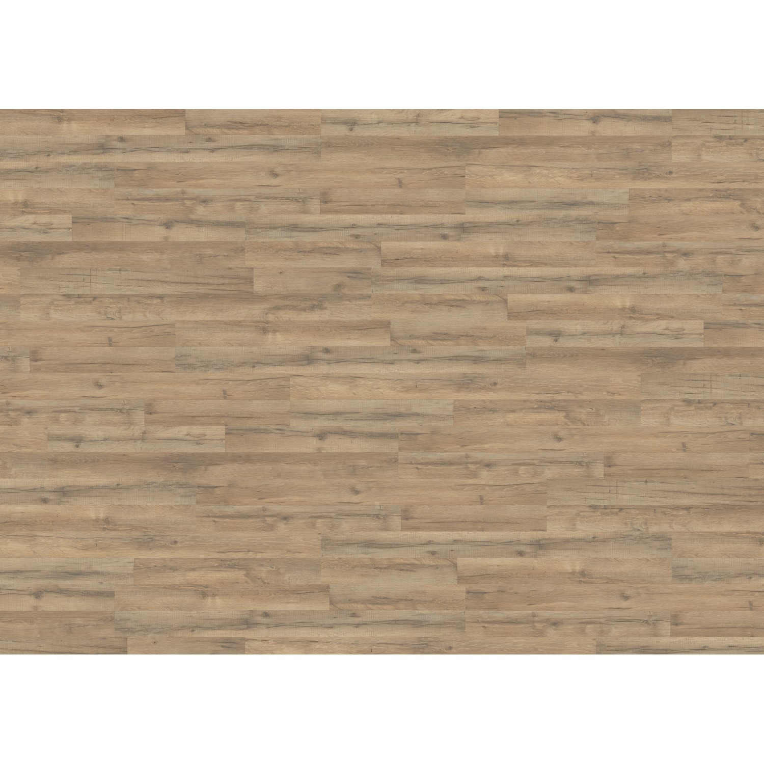 Living by Haro Laminat 7 mm Eiche Calabria Living by Haro Laminat 7 mm Eiche Calabria von Living by Haro