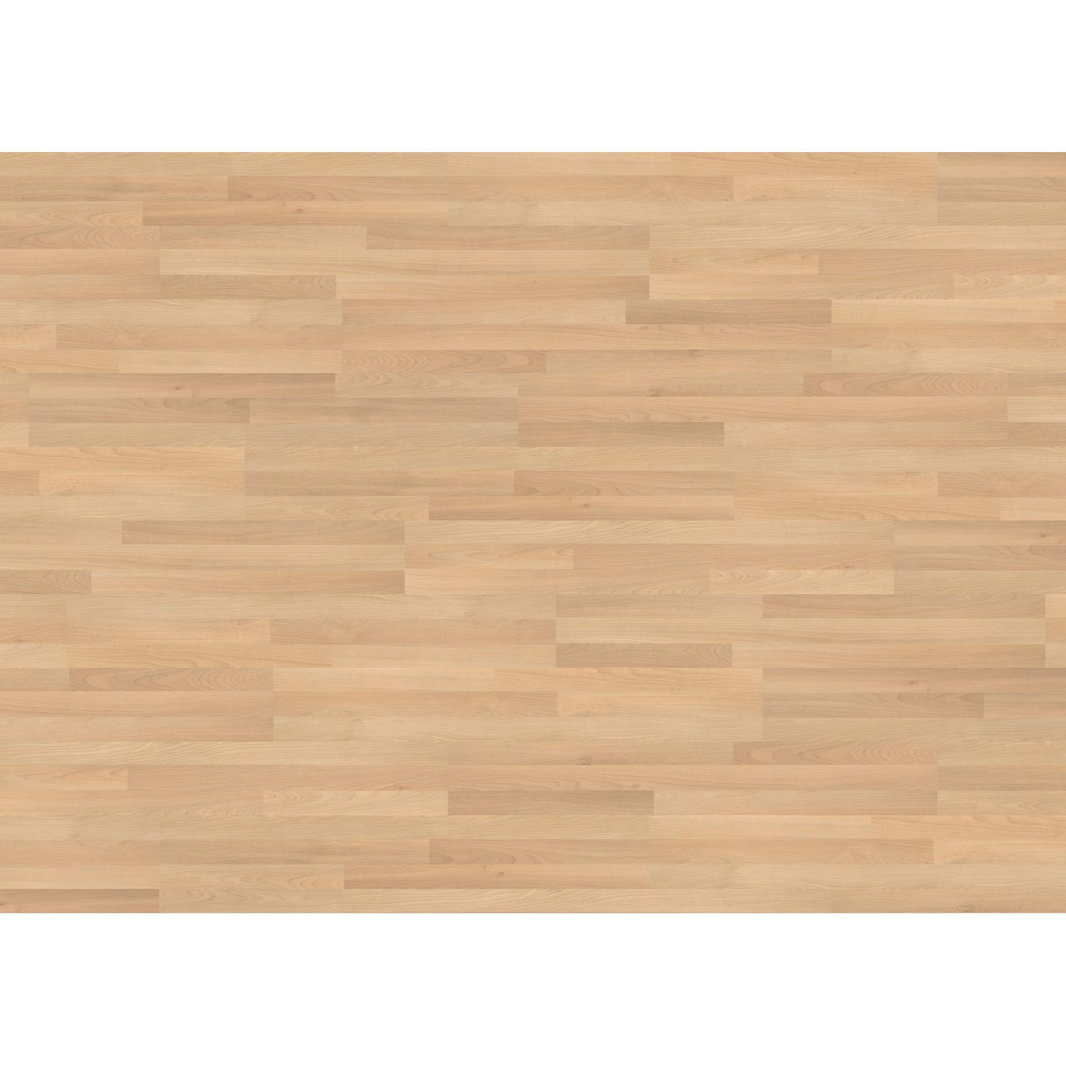 Living by Haro Laminat 7 mm Buche Living by Haro Laminat 7 mm Buche von Living by Haro