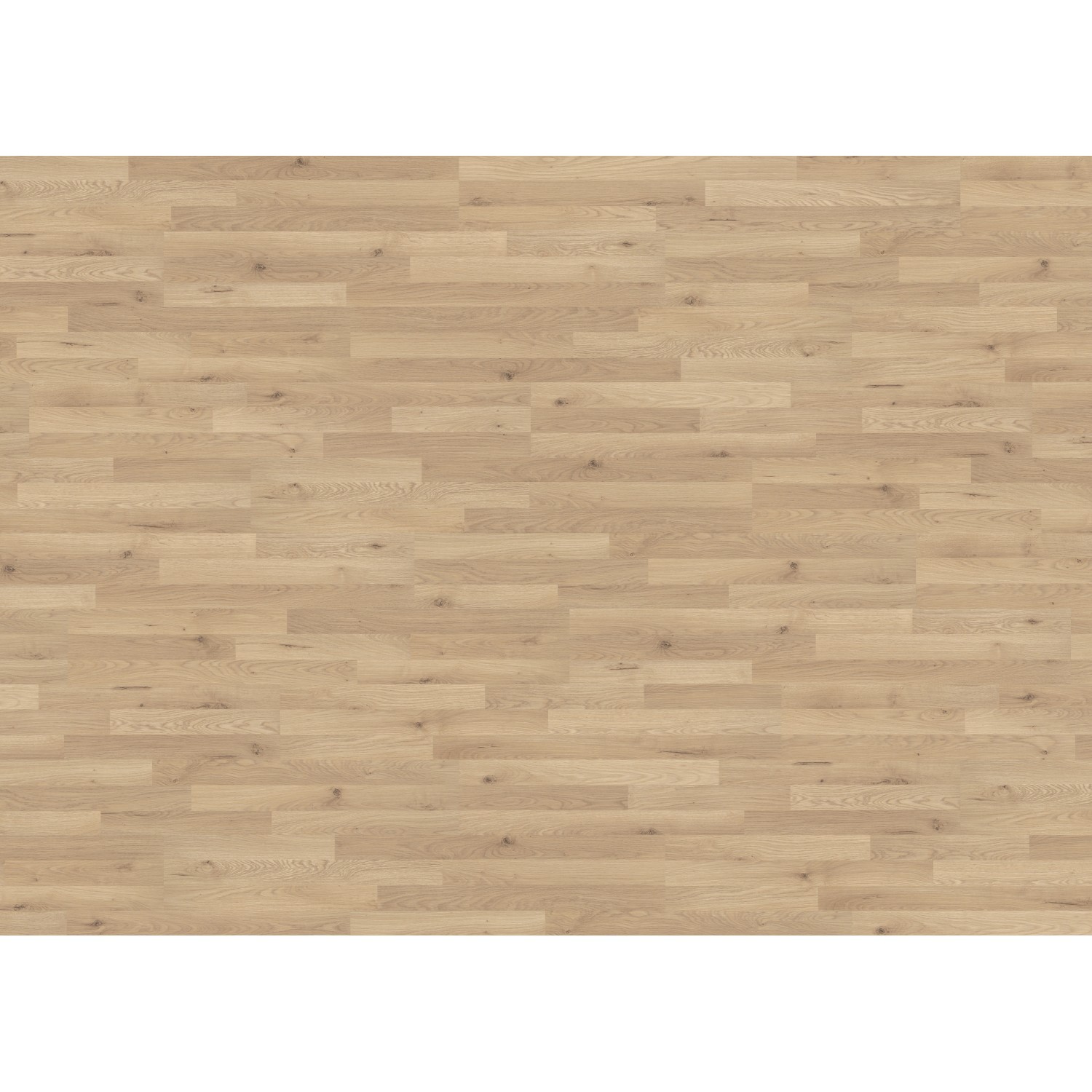 Living by Haro Laminat 7 mm Steineiche Living by Haro Laminat 7 mm Steineiche von Living by Haro