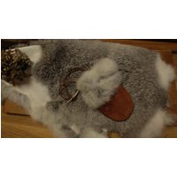 Flauschiger Medizinbeutel Für Deine Tasche Aus Rindengefärbtem Rentierleder Und Schneehasenpelz - Handgenäht Flauschiger Medizinbeutel Für Deine Tasche Aus Rindengefärbtem Rentierleder Und Schneehasenpelz - Handgenäht von LivingSkills