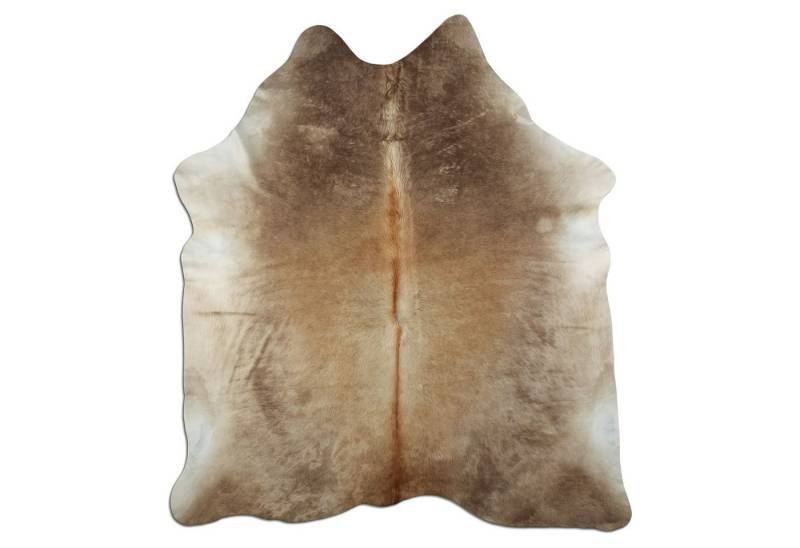 Livorio Fellteppich L220 x B190 cm - beige braun, Kuhfell, Premium Kuhfell Teppich, Rinderfell, Echtfell, light champagne Livorio Fellteppich L220 x B190 cm - beige braun, Kuhfell, Premium Kuhfell Teppich, Rinderfell, Echtfell, light champagne von Livorio