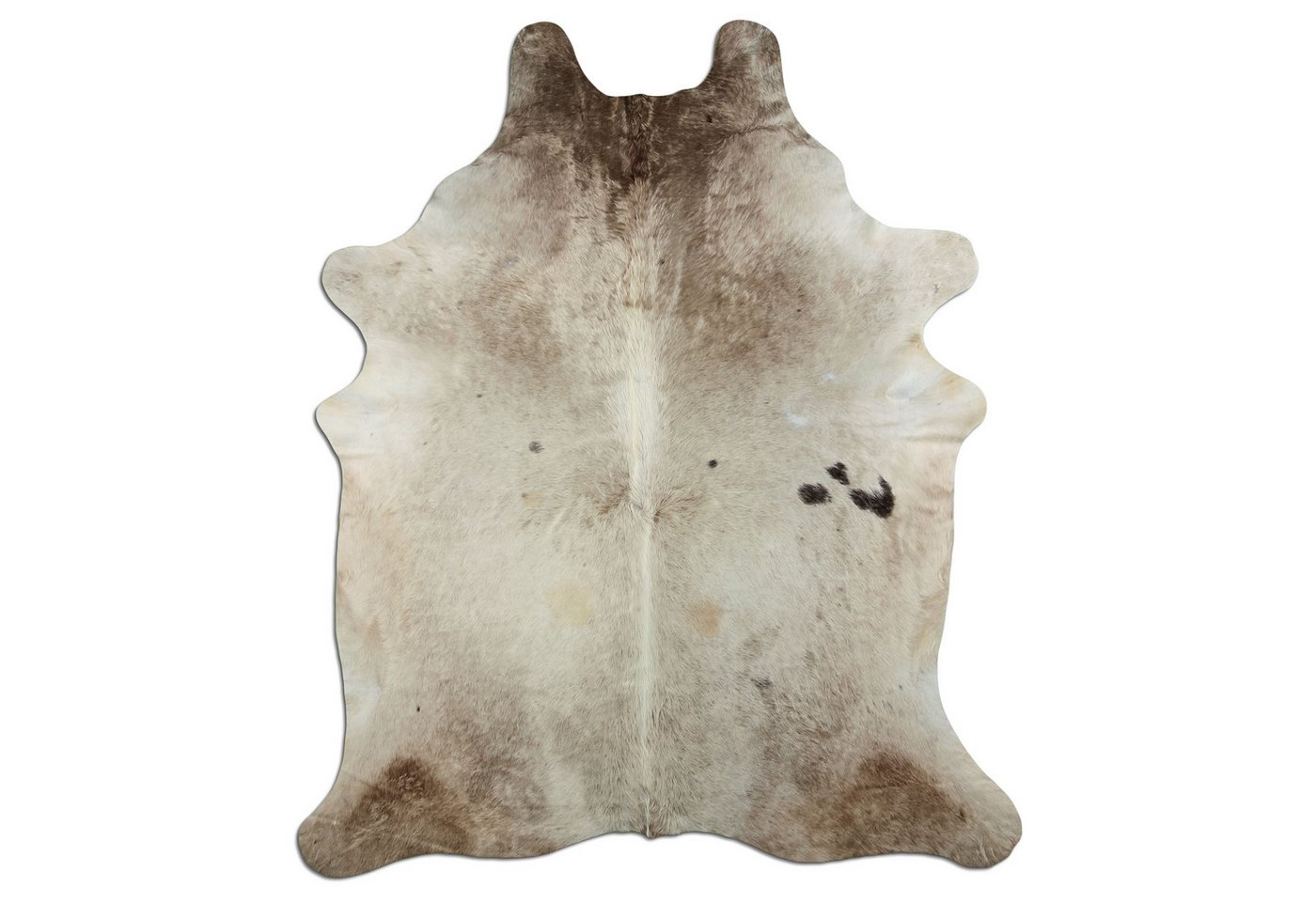 Livorio Fellteppich L235 x B200 cm - beige grau, Kuhfell, Premium Kuhfell Teppich, Rinderfell, Echtfell, light champagne Livorio Fellteppich L235 x B200 cm - beige grau, Kuhfell, Premium Kuhfell Teppich, Rinderfell, Echtfell, light champagne von Livorio