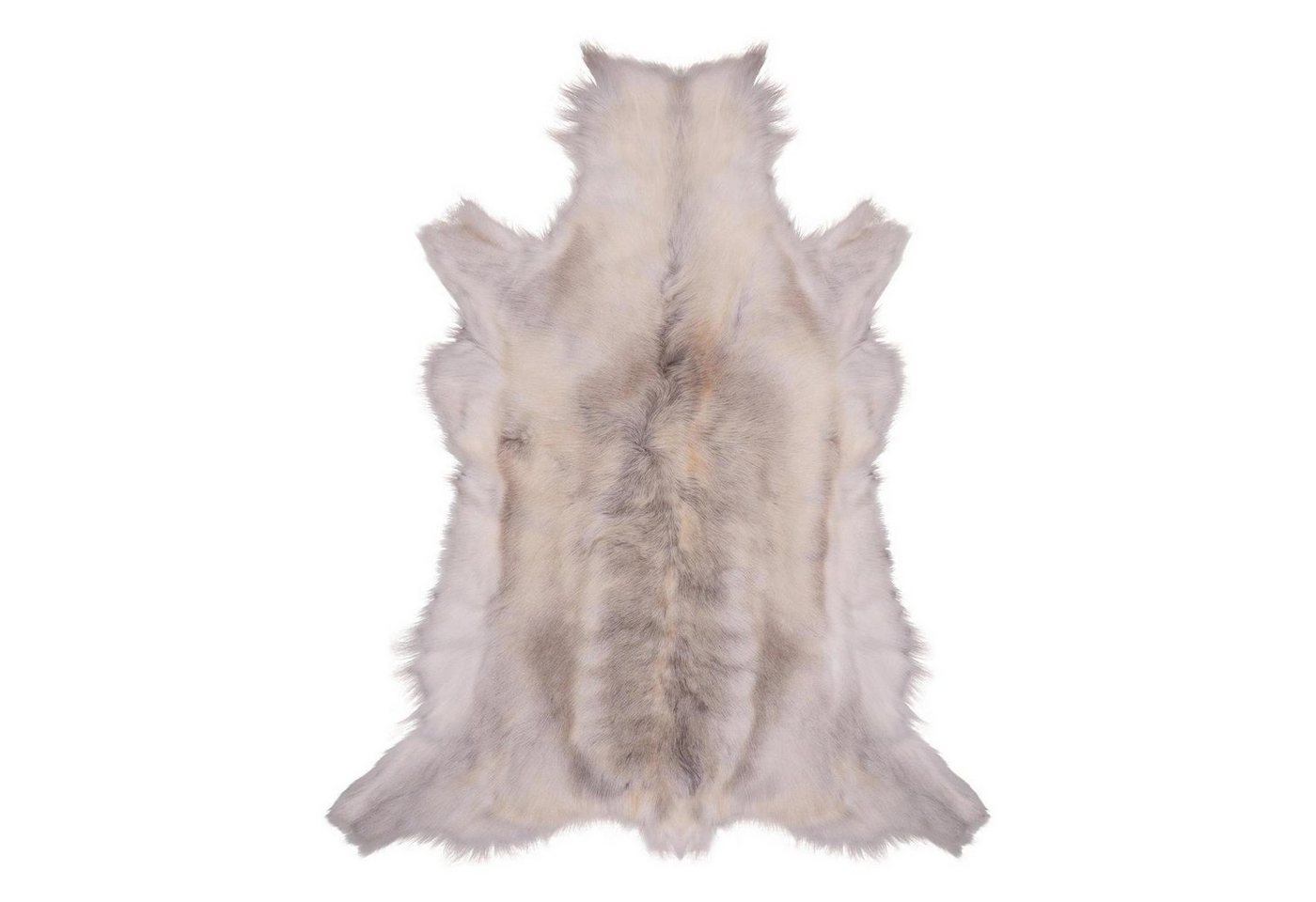 Livorio Fellteppich Rentierfell, hell, Größe L, Länge: 110-135 cm, original aus Skandinavien, Premium Qualität Livorio Fellteppich Rentierfell, hell, Größe L, Länge: 110-135 cm, original aus Skandinavien, Premium Qualität von Livorio