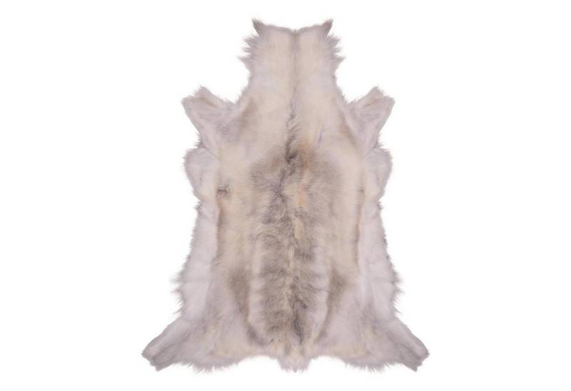 Livorio Fellteppich Rentierfell, hell, Größe L, Länge: 110-135 cm, original aus Skandinavien, Premium Qualität Livorio Fellteppich Rentierfell, hell, Größe L, Länge: 110-135 cm, original aus Skandinavien, Premium Qualität von Livorio