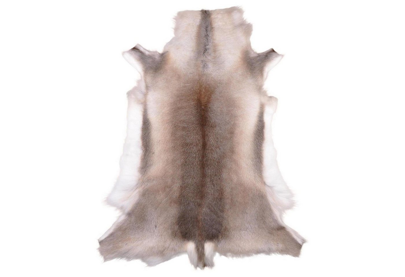 Livorio Fellteppich Rentierfell, hell-dunkel, Größe XL, Länge: 140-145 cm, original aus Skandinavien, Premium Qualität Livorio Fellteppich Rentierfell, hell-dunkel, Größe XL, Länge: 140-145 cm, original aus Skandinavien, Premium Qualität von Livorio