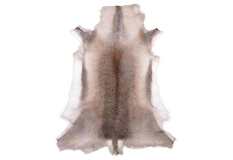 Livorio Fellteppich Rentierfell, hell-dunkel, Größe XL, Länge: 140-145 cm, original aus Skandinavien, Premium Qualität Livorio Fellteppich Rentierfell, hell-dunkel, Größe XL, Länge: 140-145 cm, original aus Skandinavien, Premium Qualität von Livorio