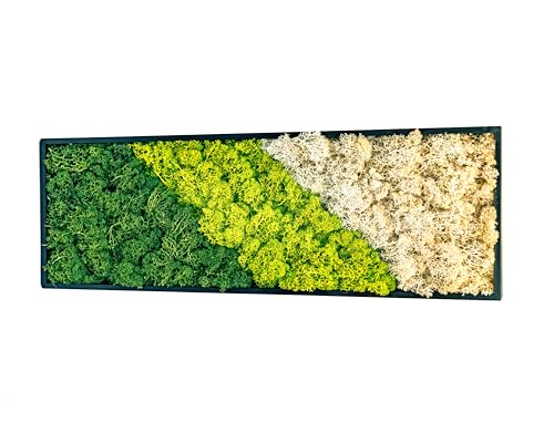 LivuX Natur Moosbild 60x20 cm, Grün, mit Haken für Hoch- und Querformat-Aufhängung – Wandbild, Wandkunst aus Naturmaterialien 1116 von LivuX