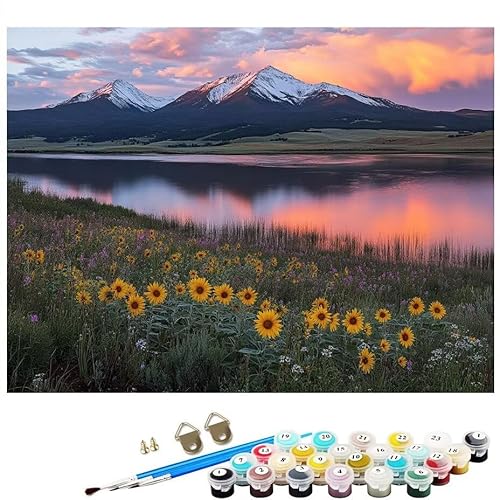 Malen Nach Zahlen Erwachsene Landschaft See Malen Nach Zahlen DIY Paint by Numbers Kit für Anfänger und Erwachsene mit 3 Pinseln und Acrylfarben für Deko Wohnzimmer Geschenk, Ohne Rahmen 20x30cm L8-19 von Lixfagng