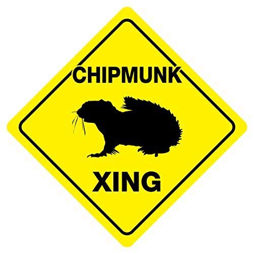 Liz66Ward Chipmunk Crossing Road Schild Lustiges Aluminium-Metallschild Warnhinweis Straßenschild Blechschild quadratisch 30,5 x 30,5 cm Liz66Ward Chipmunk Crossing Road Schild Lustiges Aluminium-Metallschild Warnhinweis Straßenschild Blechschild quadratisch 30,5 x 30,5 cm von Liz66Ward