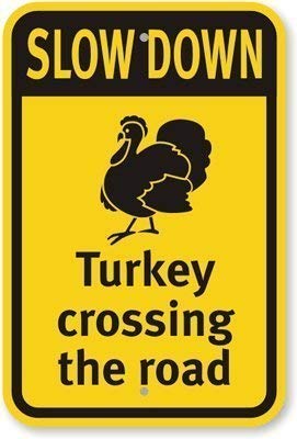 Liz66Ward Slow Down (mit Grafik) Turkey Crossing The, Ingenieurqualität, reflektierendes Aluminiumschild, lustiges Aluminium-Metallschild, Warnschild, Blechschild, Außen-Hofschild, 20,3 x 30,5 cm von Liz66Ward