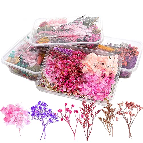 Lizaty 4 Boxen Natürliche Getrocknete Blumen Getrocknete Gepresst Blumen Gemischte Getrocknete Blätter,Gepresste Blumen für DIY Basteln Handwerk Epoxidharz Scrapbooking Dekoration von Lizaty