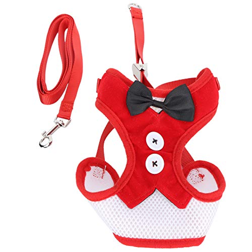 Katze Weste Harness Einstellbare Leine EscapeProof Weste Strap Walking Haustier (S) (M 25x25x10.5cm / 9.8x9.8x4.1in) (L) (S) (M 25x25x10.5cm / 9.8x9.8x4.1in) (L) (S) (M 25x25x10.5cm / 9.8x9.8x4.1in) von LjwZekyrnt