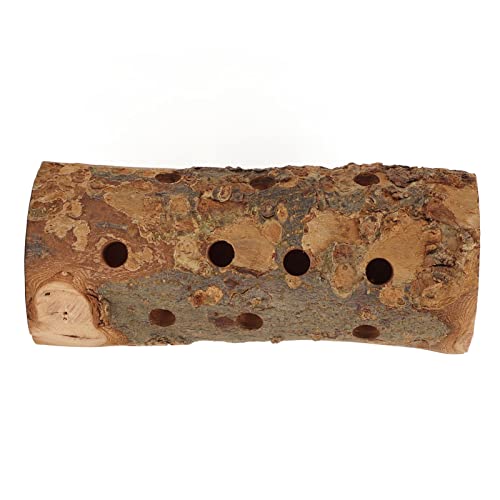 LjwZekyrnt Hamster Log Kauspielzeug Sicherer Backenzahnbissresistenter Papagei Holzstab Haustier Kaninchen Zahnpflege Spiel Holz Stehender Stock (Großgröße (24x18,5 cm / 9,4x7,3in)) von LjwZekyrnt