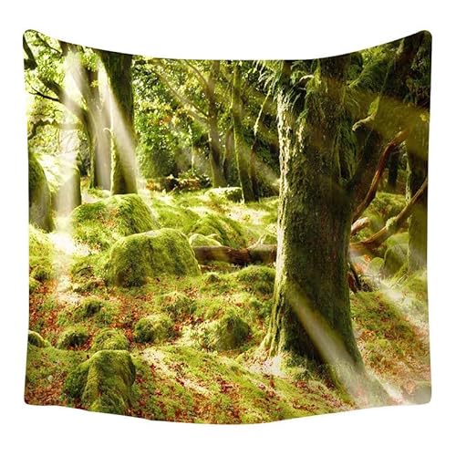 Lmovutcom Waldbäume Moos Licht und Schatten Wanddekoration Wandteppich großer Stoff Heimdekoration Hintergrund Tuch Wandbehang Strandtuch von Lmovutcom