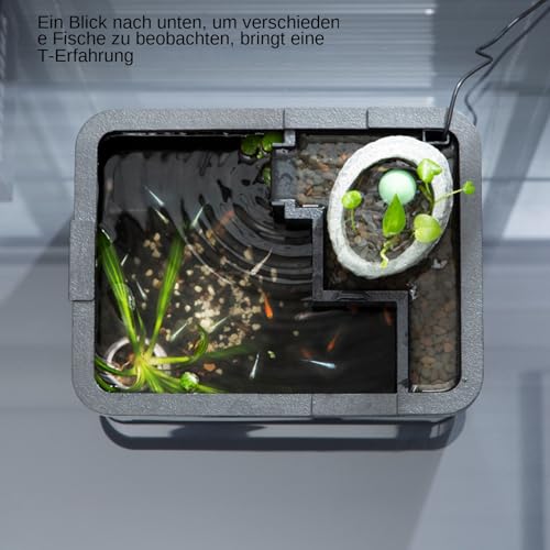 Lnhgh Kleines Aquarium Mit Filter Und Beleuchtung - Couchtisch Aquarium Deko | Antikes LED Becken Mit USB Pumpe Für Bettas Krankenhaus Zimmer Aquaponik Riff Bücherregal Dekoration Lnhgh Kleines Aquarium Mit Filter Und Beleuchtung - Couchtisch Aquarium Deko | Antikes LED Becken Mit USB Pumpe Für Bettas Krankenhaus Zimmer Aquaponik Riff Bücherregal Dekoration von Lnhgh