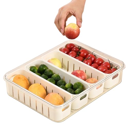Lnhgh Obstbehälter Für Kühlschrank - 8 Fächer Servierplatte mit Griff - Verschluss Organizer Tragbar Tablett Für Küche Reise Snack Büro Salat von Lnhgh