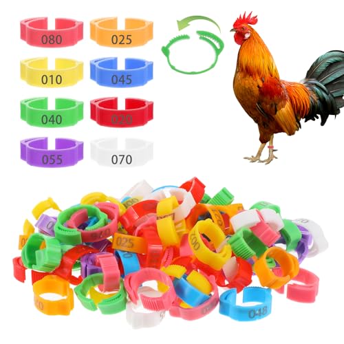 Lnngub Hühnerbeinbänder, 16 - 20 mm, verstellbare Hühneranhänger für Beine, bunt, 01–80, nummerierte Beinbänder für Hühner, Enten, Gans, Truthahn, 8 Farben, 80 Stück Lnngub Hühnerbeinbänder, 16 - 20 mm, verstellbare Hühneranhänger für Beine, bunt, 01–80, nummerierte Beinbänder für Hühner, Enten, Gans, Truthahn, 8 Farben, 80 Stück von Lnngub