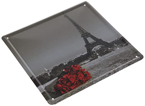 Lo + deModa Flowers Paris Bild Druck Vintage, Metall, mehrfarbig, 21 x 21 x 0.13 cm von Lo+DeModa
