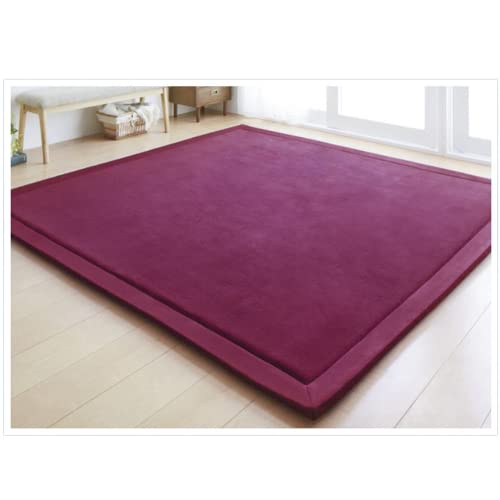 Loartee Teppich, Korallen-Samt, für Schlafzimmer, Wohnzimmer, Kinder, Arbeitszimmer, Küche, Kinderzimmer, Krabbeln, Wandern, Spiele, Yoga, Gymnastik, Nickerchen, Grape Red, 200 * 300cm von Loartee