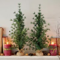 Deko-Baum 2er Set Bohicon Deko-Baum 2er Set Bohicon von LOBERON