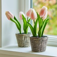 Deko-Tulpe 2er Set Zéphine Deko-Tulpe 2er Set Zéphine von LOBERON