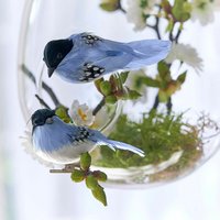 Deko-Vogel 2er Set Penelopé Deko-Vogel 2er Set Penelopé von LOBERON