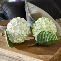 Dekoblume 2er Set Hortensie von LOBERON