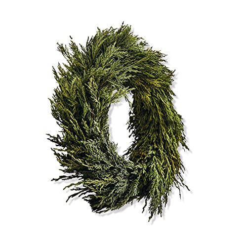 LOBERON Kranz Tarbes, konservierte Zypresse, natürlicher Stil, Weihnachtsdekoration, Weihnachten, Zypresse, Rattan, grün von Loberon