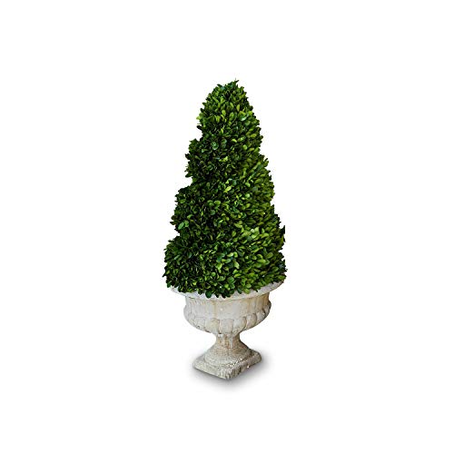 Loberon Deko-Baum Humbria, in Handarbeit gefertigt, mit Topf im französischen Stil, immergrün, Dekoration, Buchsbaum, Styropor, Terrakotta, grün/Creme von Loberon