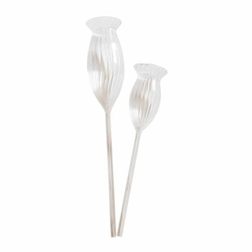 Loberon Bewässerungshilfe 2er Set Radisa, Zwei Größen, geriffelte Blütenform, nostalgischer Deko-Akzent, dekorativ & funktional, Gartenhelfer, Glas, klar Loberon Bewässerungshilfe 2er Set Radisa, Zwei Größen, geriffelte Blütenform, nostalgischer Deko-Akzent, dekorativ & funktional, Gartenhelfer, Glas, klar von Loberon