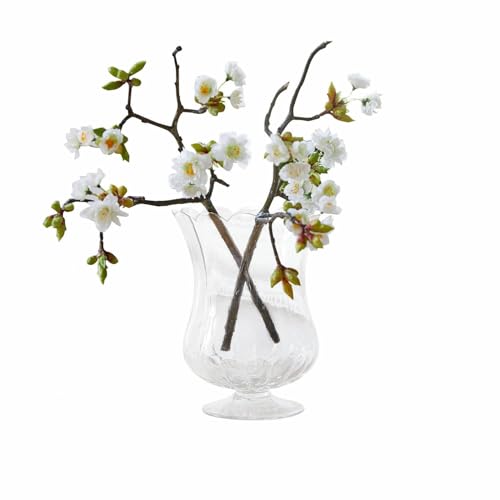 Loberon Dekoblume 2er Set Gráda, naturnahe Nachbildung von Kirschzweigen, Filigrane Blüten, Kunstblume, Deko-Zweig, Dekoration, Polyester, Kunststoff, Eisen, weiß Loberon Dekoblume 2er Set Gráda, naturnahe Nachbildung von Kirschzweigen, Filigrane Blüten, Kunstblume, Deko-Zweig, Dekoration, Polyester, Kunststoff, Eisen, weiß von Loberon
