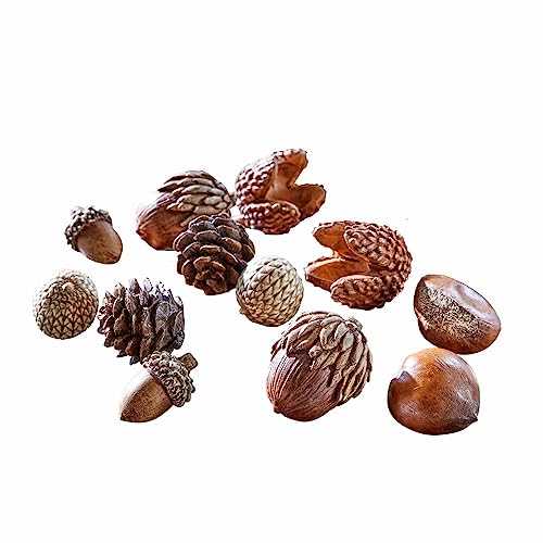 Loberon Herbstdeko 12er Set Vibius, detailreich & naturgetreu gearbeitet, großes Potpourri aus Kastanien, Eicheln, Haselnüssen u.v.m., Dekoration, Polyresin, braun Loberon Herbstdeko 12er Set Vibius, detailreich & naturgetreu gearbeitet, großes Potpourri aus Kastanien, Eicheln, Haselnüssen u.v.m., Dekoration, Polyresin, braun von Loberon